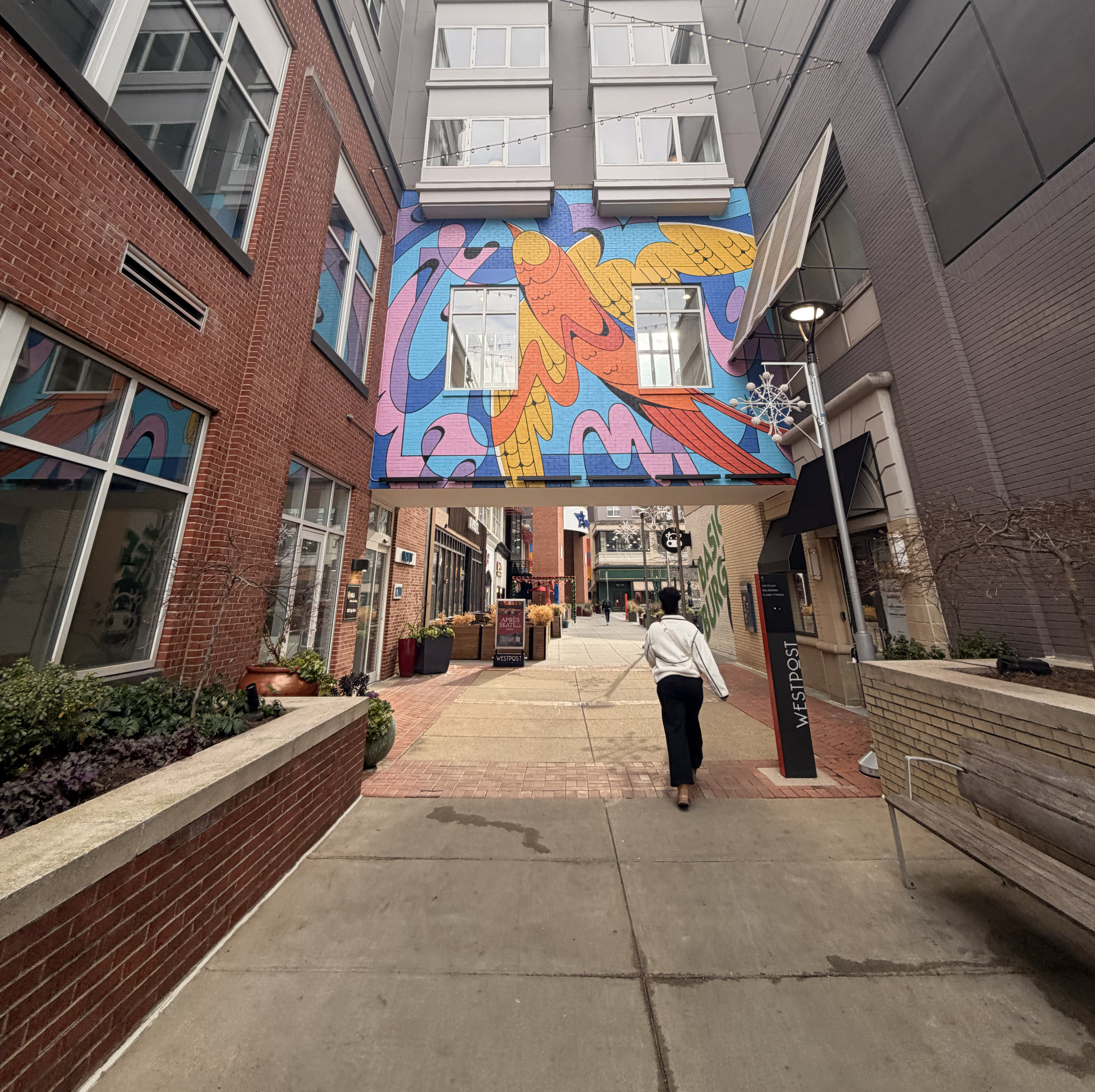 Commercial spatial project